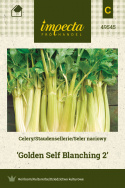 Staudensellerie 'Golden Self Blanching 2'