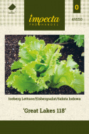 Eisbergsalat 'Great Lakes 118'
