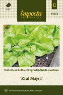Kopfsalat 'Král Máje I'