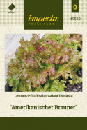 Pflücksalat 'Amerikanischer Brauner'