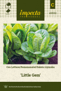 Romanasalat 'Little Gem'