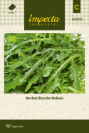 Rucola/Salatrauke