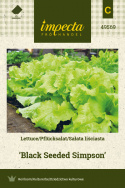 Pflücksalat 'Black Seeded Simpson'