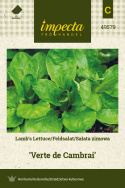 Feldsalat 'Verte de Cambrai'