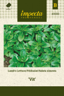 Feldsalat 'Vit'