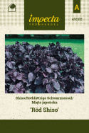 Grüner Shiso