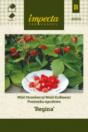 Walderdbeere 'Regina'