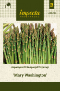 Grüner Spargel 'Mary Washington'