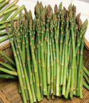 Grüner Spargel 'Mary Washington'