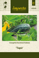 Zucchini 'Tapir'