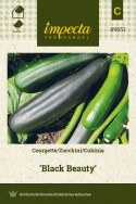 Zucchini 'Black Beauty'