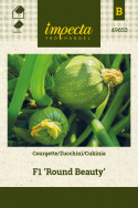 Zucchini 'Round Beauty'