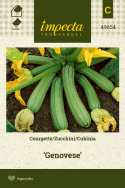 Zucchini 'Genovese'