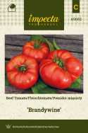 Fleischtomate 'Brandywine'