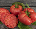Fleischtomate 'Brandywine'
