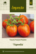 Tomate 'Tigerella'