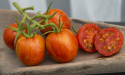 Tomate 'Tigerella'