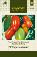 Flaschentomate 'Supermarzano'