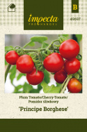 Pflaumentomate 'Principe Borghese'