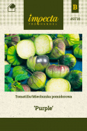Tomatillo 'Purple'