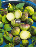 Tomatillo 'Purple'