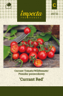 Wildtomate 'Currant Red'