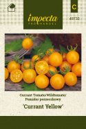 Wildtomate 'Currant Yellow'