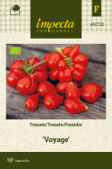 Tomate 'Voyage'