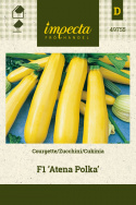Zucchini 'Atena Polka'