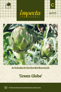 Artischocke 'Green Globe'