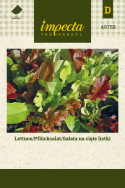 Pflücksalat Baby Leaf mix'