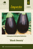 Aubergine 'Black Beauty'