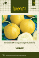 Zitronengurke 'Lemon'