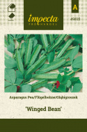 Spargelbohne 'Winged Bean'