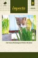 Katzengras