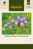 Rainfarn-Phacelie