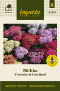 Schafgarbe 'Flowerburst Fruit Bowl', Dichte Blütendolden in den fruchtigen Tönen Aprikose, Lila, Rosa, Gelb und Weiß.