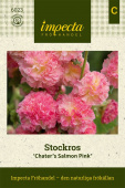 Stockrose 'Chater's Salmon Pink'