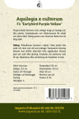 Pastell-Malve F1 'Earlybird Purple Yellow'