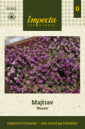 Gänsekresse 'Rosea', Mattenbildende, dichte Pflanzen, die mit zahlreichen kleinen, dunkelrosa Blüten übersät sind. 