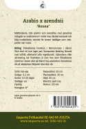 Gänsekresse 'Rosea', Mattenbildende, dichte Pflanzen, die mit zahlreichen kleinen, dunkelrosa Blüten übersät sind. 