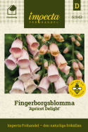 Fingerhut 'Apricot Delight', Imposante, hohe, stabile Blütenstände mit wunderschönen, glockigen Einzelblüten zwischen Rosa und Apricot.
