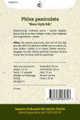 Hoher Sommer-Phlox 'New Hybrids'