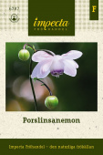 Porzellan-Anemone