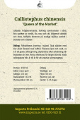 Sommeraster 'Queen Of The Market'