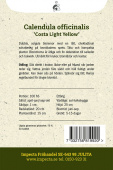 Ringelblume 'Costa Light Yellow'