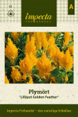 Federbusch 'Lilliput Golden Feather'
