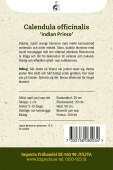 Ringelblume 'Indian Prince'