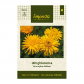 Ringelblume 'Porcupine Yellow'