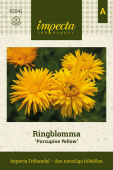 Ringelblume 'Porcupine Yellow'